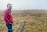 A woman stands looking at the camera with a foggy pasture of cows in the background