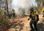 A fire boss and trainees carry out a controlled burn outside of Eugene in Oct. 2021. These limited and contained burns are to deprive fuel for larger fires, and rejuvenate certain habitat.