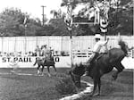 Pro Rodeo Hall of Fame member Larry Mahan at the 1969 St. Paul Rodeo. The rodeo has had trees in its arena, marking the horse race track, since the 1940s.
