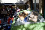 Protesters set up camp outside the Campus Public Safety Division on Portland State University's campus.