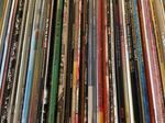 Close-up of a shelf of vinyl LPs, including several album sleeves that read "Curated By Record Store Day"