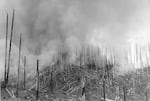 In this Oregon Department of Forestry image from 1933, fire burns through the forests of the Oregon Coastal Range mountains.