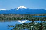 File photo of the Klamath Refuge. 