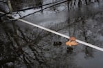 Water pools on the tennis court at Laurelhurst Park in Portland, Ore., on Friday, Dec. 5, 2025.
