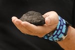 The Metals Company CEO, Gerard Barron, holds a polymetallic nodule from the sea floor. These potato-shaped deposits form over millions of years as minerals like nickel, cobalt, manganese and copper accrete around pieces of organic matter. 
