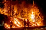 Firefighters burn off vegetation while trying to stop a wildfire called the Bench Fire from spreading in Warm Springs, Ore., on Saturday, July 25, 2026.