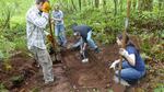 Western Oregon University Students search for buried pig bones as part of a rare opportunity to get experience in the field.