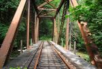 A portion of the planned Salmonberry Corridor trail.