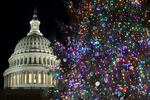 The U.S. Capitol Christmas Tree is up outside the building where GOP leaders are furiously scrambling to find a way to avoid a government shutdown.