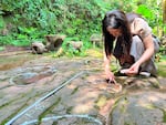 A scientist documents the footprint.