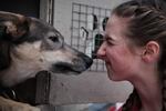 Morgan Anderson and her sled dogs share a special bond