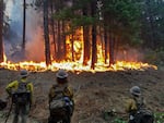 FILE: Eldorado Hotshots complete firing activities on the Delta Fire in California on Sept. 12, 2018.