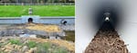 The eastside wall of the Palensky Wildlife Crossing near Scappoose. The structure allows frogs and other small wildlife to cross busy U.S. Highway 30. The crossing entrance and the adjacent water conveyance culvert are shown on the left. The photo on the right shows the interior surface of the crossing.