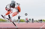 Cassie the robot starts the 100 meter dash at OSU's track in Corvallis.