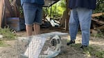 Rambo the cat thrashes in a cat trap near his home in Ingram, Texas on Thursday, July 10. Rambo had been missing for almost a week after the catastrophic flooding in central Texas.