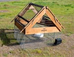 A large trap built by the wildlife team at the Portland International Airport. A small prey bird or mouse will be placed inside the lower area of the trap the top will close on entry. Both the raptor and the prey bird are not harmed by the trap.
