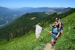 Hikers count butterflies on Sauk Mountain in the North Cascades.