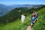 Hikers count butterflies on Sauk Mountain in the North Cascades.