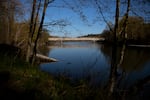 The Stillaguamish river is shown on April 8, 2026, south of Stanwood, Wash.