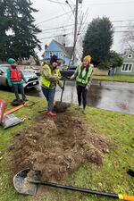 FILE - Tacoma resident Kelly Kruger is planting a tree in the neighborhood near Mann Elementary School. Kruger was one of many volunteers who helped launch the SafeTREE Routes to School city program by planting over 80 trees in the neighborhood.