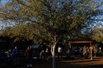 Morning roll call at Grand Veterans Village in Phoenix on Thursday, Dec. 8, 2022.