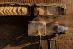 Workers gather soy crops during a harvest at a farm in Orizona, Goias state, Brazil, on Friday, Feb. 21, 2025. Brazil's national supply company has cut the 2024-2025 seasonal soybean output estimate from 166.33m tons to 166.01m tons, lower than analyst expectations. 