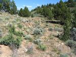 The Barnes Butte Area near Prineville is a popular destination for hiking, dog-walking, and horseback-riding.