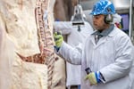 U.S. Department of Agriculture (USDA) meat inspectors and graders at a processing facility. Nov. 29,2018.