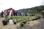 Protesters planted a garden at Zenith Energy Sunday morning. By the evening, they had been arrested and the garden and shed were being removed.