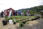 Protesters planted a garden at Zenith Energy Sunday morning. By the evening, they had been arrested and the garden and shed were being removed.