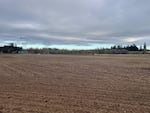 Bradshaw's lomatium habitat at Camas Meadows Golf Course on Oct. 14, 2024, after being tilled.