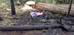 In 2013, a flag was laid upon the spot where John Hammack died. Hammack was crushed by a falling tree that had been struck by lightning.