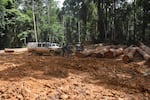 A logging operation in a tropical rainforest of west Central Africa.