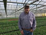 Woodburn Nursery and Azaleas owner Tom Fessler has 100 acres of greenhouses at his Oregon farm.