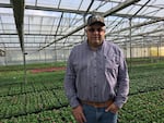 Woodburn Nursery and Azaleas owner Tom Fessler has 100 acres of greenhouses at his Oregon farm.