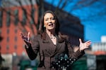 U.S. Agriculture Secretary Brooke Rollins speaks to the press outside the White House on February 14, 2025 in Washington, D.C.