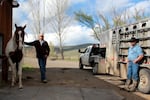 Dean Tucker, cow boss at the Pine Valley Ranch, left, and rancher Chad DelCurto talk wolves at Tucker's place in Richland, Oregon.  