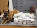 In this photo provided by the Oregon State Police, K-9 Titan is photographed next to drugs found by an OSP Trooper during a traffic stop, April 23, 2023. OSP confiscated 51 pounds of suspected methamphetamine, 31 pounds of suspected powder fentanyl, 9 pounds of suspected cocaine and 2 pounds of suspected heroin.