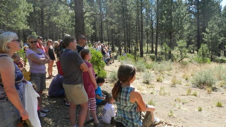 The show is staged in a forest behind the museum. 