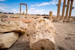 PALMYRA, Syria, 02/21/25 Ruins of stone columns destroyed by ISIS in 2015 after its takeover of the region. Syrians are hoping for a return of tourists now that the country has reopened to international visitors after the fall of the regime of Bashar al-Assad to rebel fighters last December. Ayman Oghanna for NPR