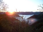 Sunrise through the fog and trees along Marlow Creek in the Elliott State Forest.