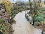 The section of Johnson Creek where rescuers searched for a person who fell in Monday, Dec. 4, 2023 in Portland, Ore.