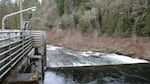 The Portland Water Bureau is considering two water treatment options after the EPA ruled the city must take steps to prevent further outbreaks of cryptosporidium in its Bull Run water supply: an ultraviolet water treatment center and a traditional water filtration center. 