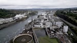 An aerial view of the former Blue Heron Paper Mill in Oregon City. The Confederated Tribes of Grand Ronde purchased the 23 acres of industrial land in 2019.