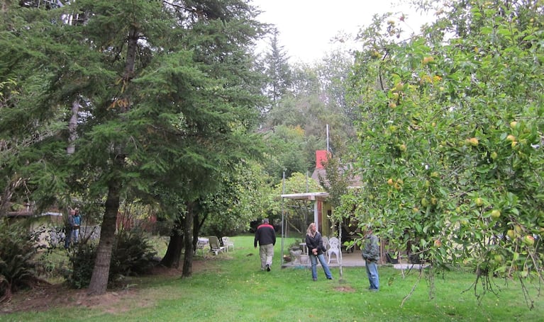 Oregon Department of Agriculture staff take samples from properties near Gold Beach, Ore., to investigate an alleged overspray on Oct. 16, 2013. Two of the seven samples showed trace amounts of herbicides off their target application sites.