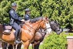 Two mounted officers stand patiently during the ceremony.