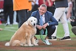 ESPN's Kirk Herbstreit and his dog Ben watch players warm up before the start of an NCAA college football game between Tennessee and Arkansas on Oct. 5 in Fayetteville, Ark.