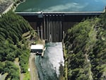 The 276-foot Lookout Point Dam on the Middle Fork of the Willamette River poses a major obstacle for tiny juvenile salmon as they attempt to migrate downstream. 
