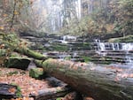 The Devil's Staircase, a series of cataracts on Wassen Creek in southwest Oregon.