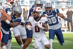 Oregon State running back Anthony Hankerson (0) runs against Nevada in the first half of an NCAA college football game in Reno, Nev., Saturday, Oct. 12, 2024.